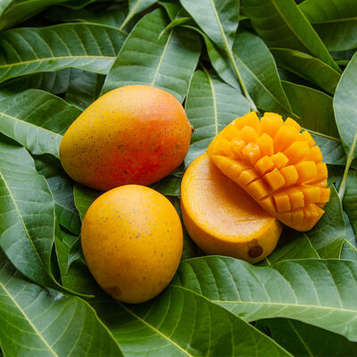 Mango Mango Fragrance Oil