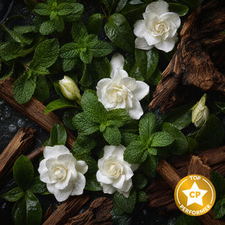 Sandalwood Mint Fragrance Oil