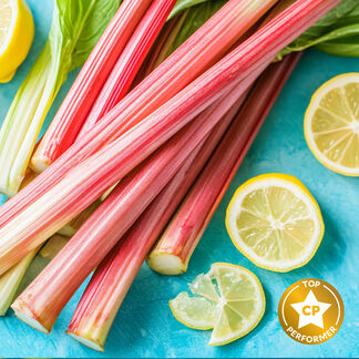 Lemon and Rhubarb Fragrance Oil
