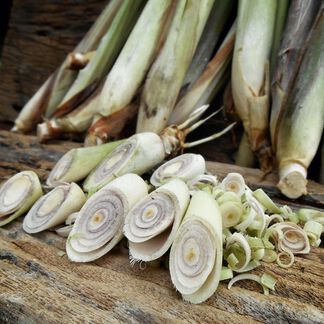 Sage and Lemongrass Fragrance Oil