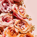 Rose Gold Fragrance Oil - Trial Size