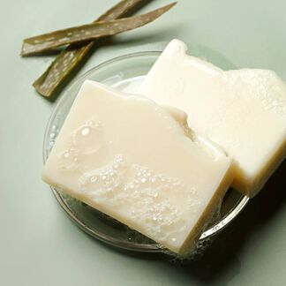 Palm-Free Aloe Soap Project