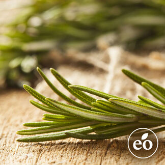 Rosemary Essential Oil