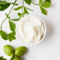 Shea Butter - .25 lb (Kit Item)