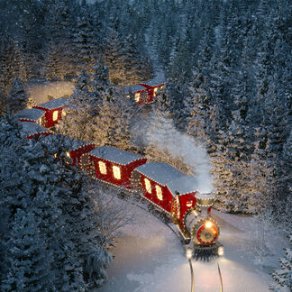 Santa's Spruce Fragrance Oil