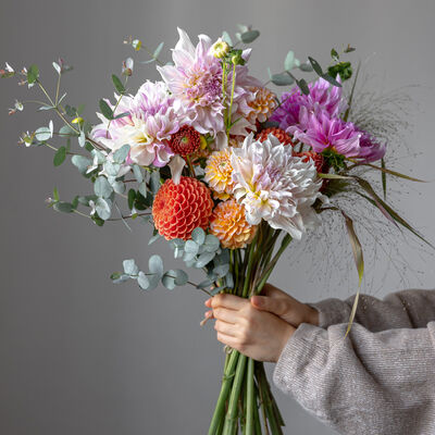Blushing Bouquet Fragrance Oil