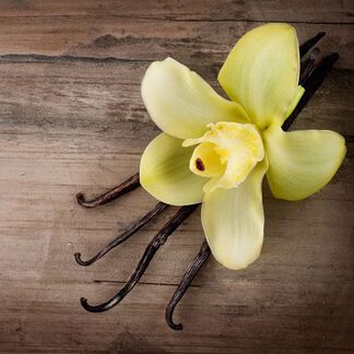 Vanilla Oak Fragrance Oil