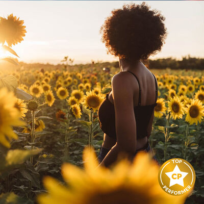 Sunflower Sandalwood Fragrance Oil