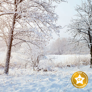 Fresh Snow Fragrance Oil