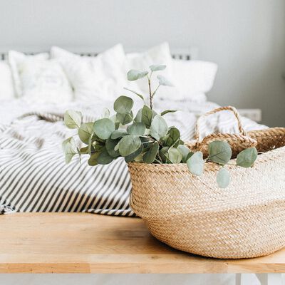 Eucalyptus and Cotton Fragrance Oil