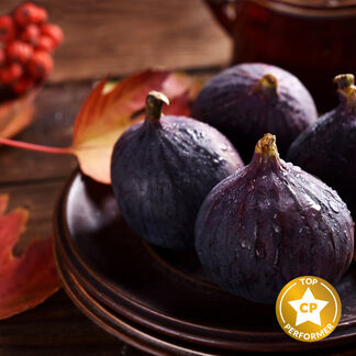 Autumn Fig Harvest Fragrance Oil