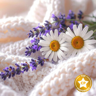 Lavender Lullaby Fragrance Oil