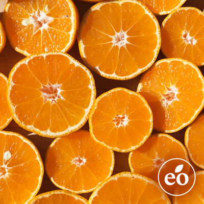 Orange 10X Essential Oil