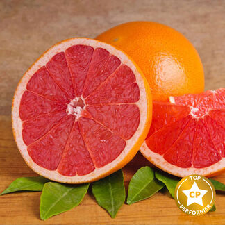 Pink Grapefruit Fragrance Oil