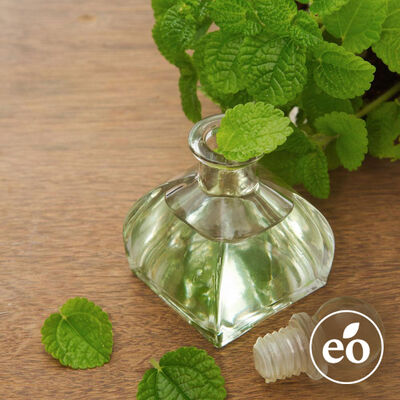 Peppermint Essential Oil - 1st Distill