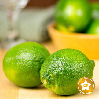Lime Fragrance Oil