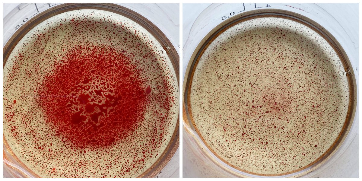 food coloring in candle wax | Bramble
                Berry