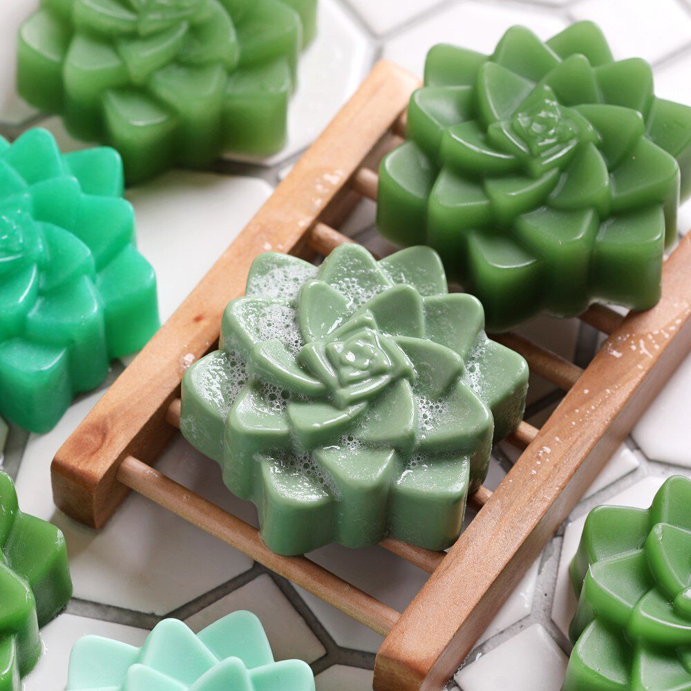 succulent soap kit | bramble berry