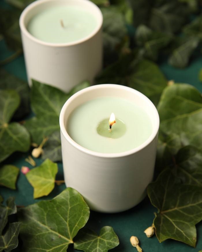 Willow and Ivy Candle Project A green candle in a white jar burning on a
table among ivy leaves