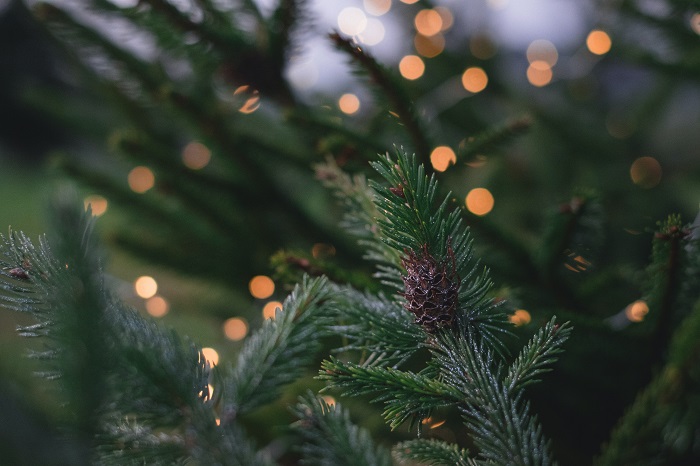 
Winter Personal Care Tips

