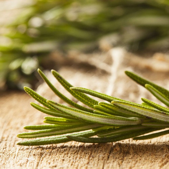 Rosemary Essential Oil Rosemary Essential Oil