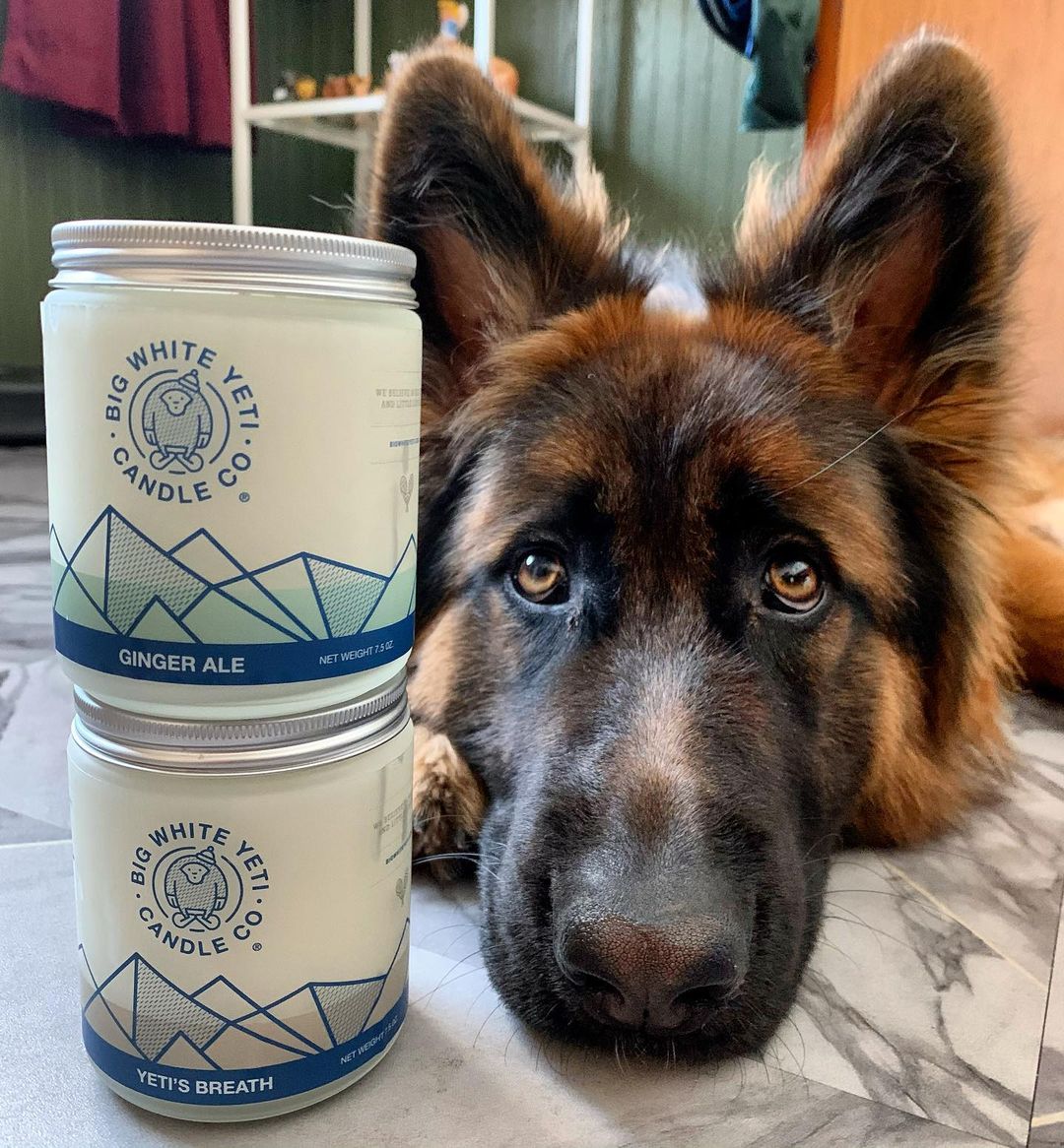 big white yeti shop assistant | bramble berry