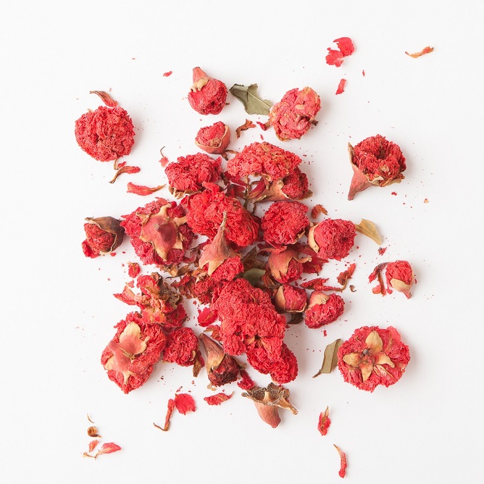 Dried Pomegranate Flowers Dried pomegranate flowers on a white
background