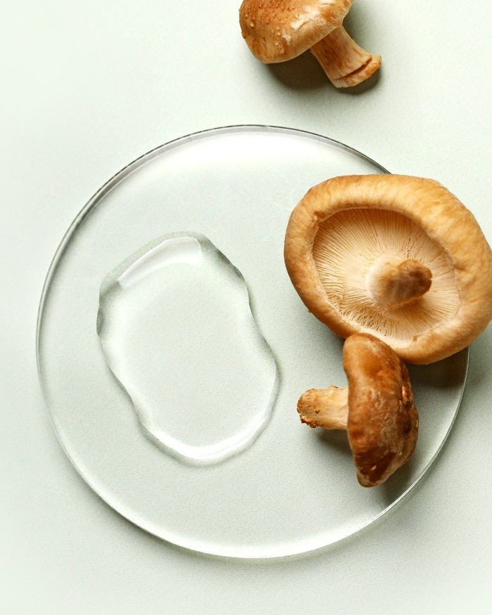 
Reishi Mushroom for Skincare

