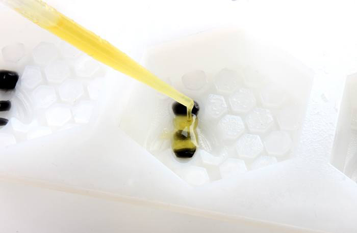 piping melt and pour soap in a bee mold |
                Bramble Berry