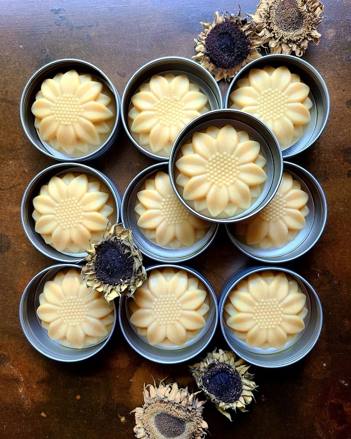 Sunflower lotion bars