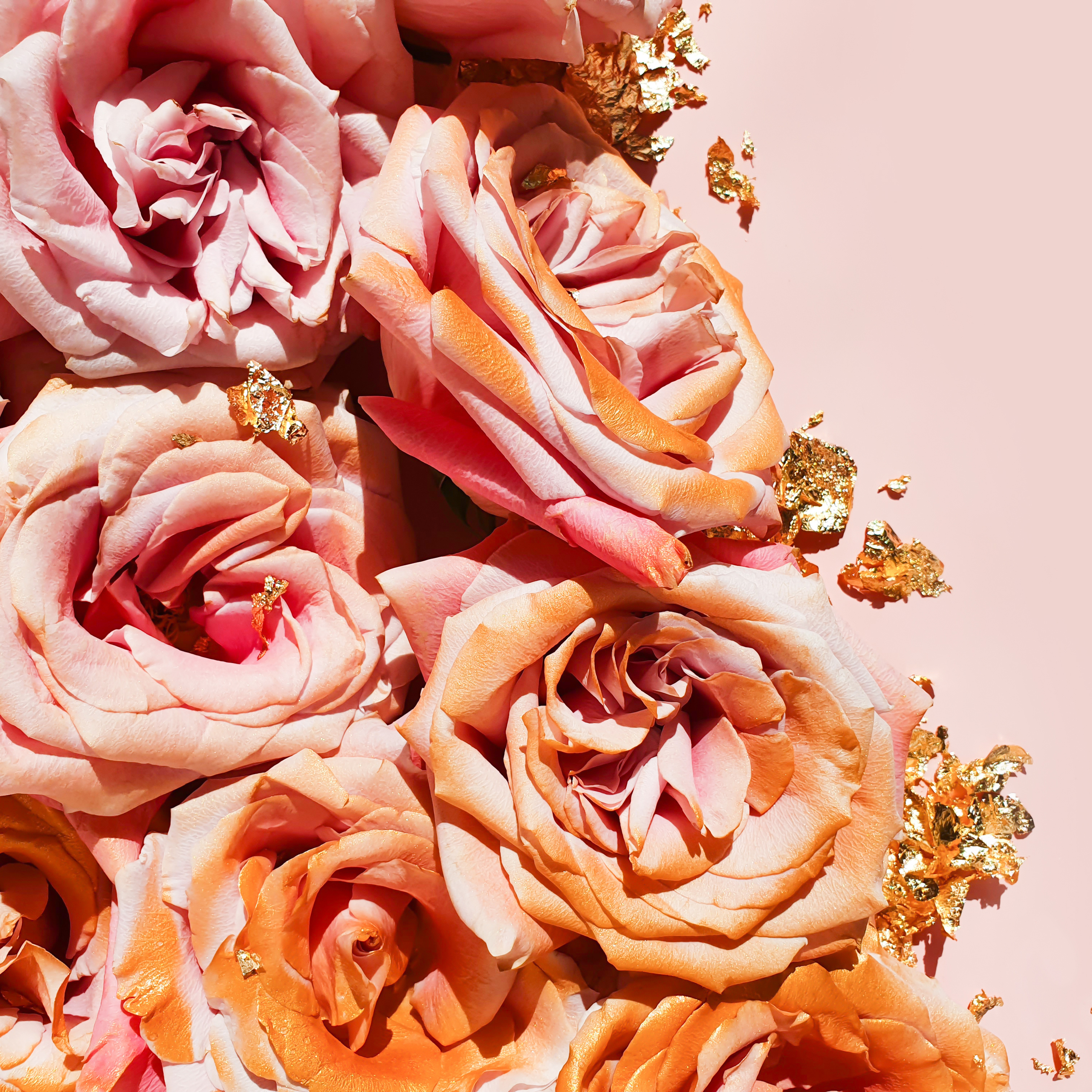 Rose Gold Fragrance Oil