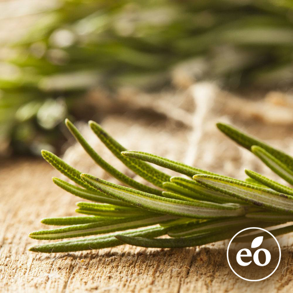 Rosemary Essential Oil