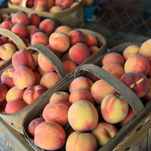 Southern Peach Fragrance Oil