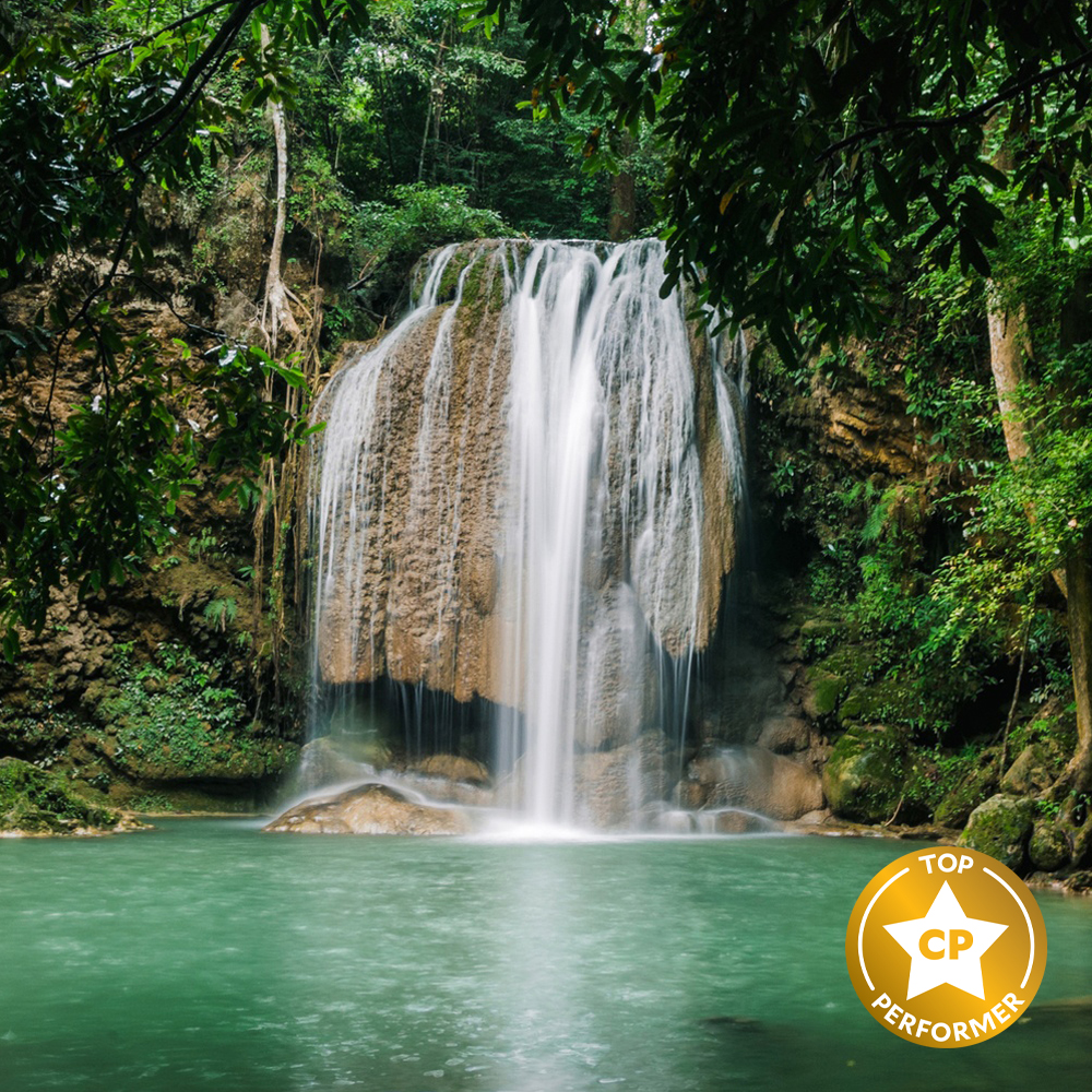Jungle Waterfall Fragrance Oil