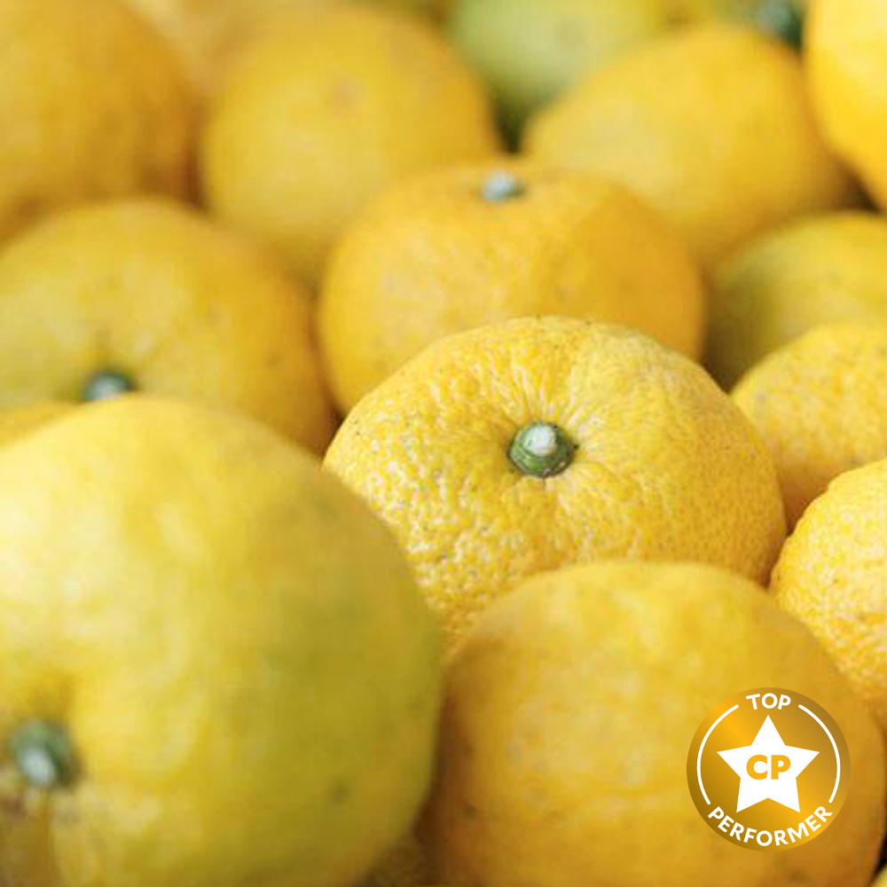 Yuzu Fragrance Oil