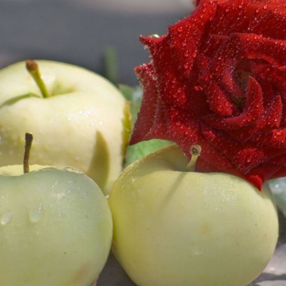 DISCONTINUED - Crisp Apple Rose Fragrance Oil