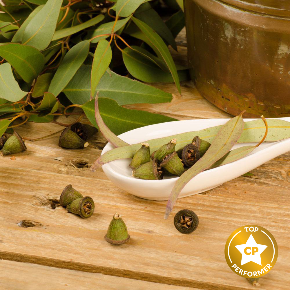 Rejuvenating Eucalyptus Fragrance Oil