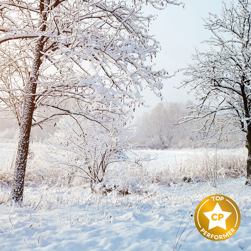 Fresh Snow Fragrance Oil