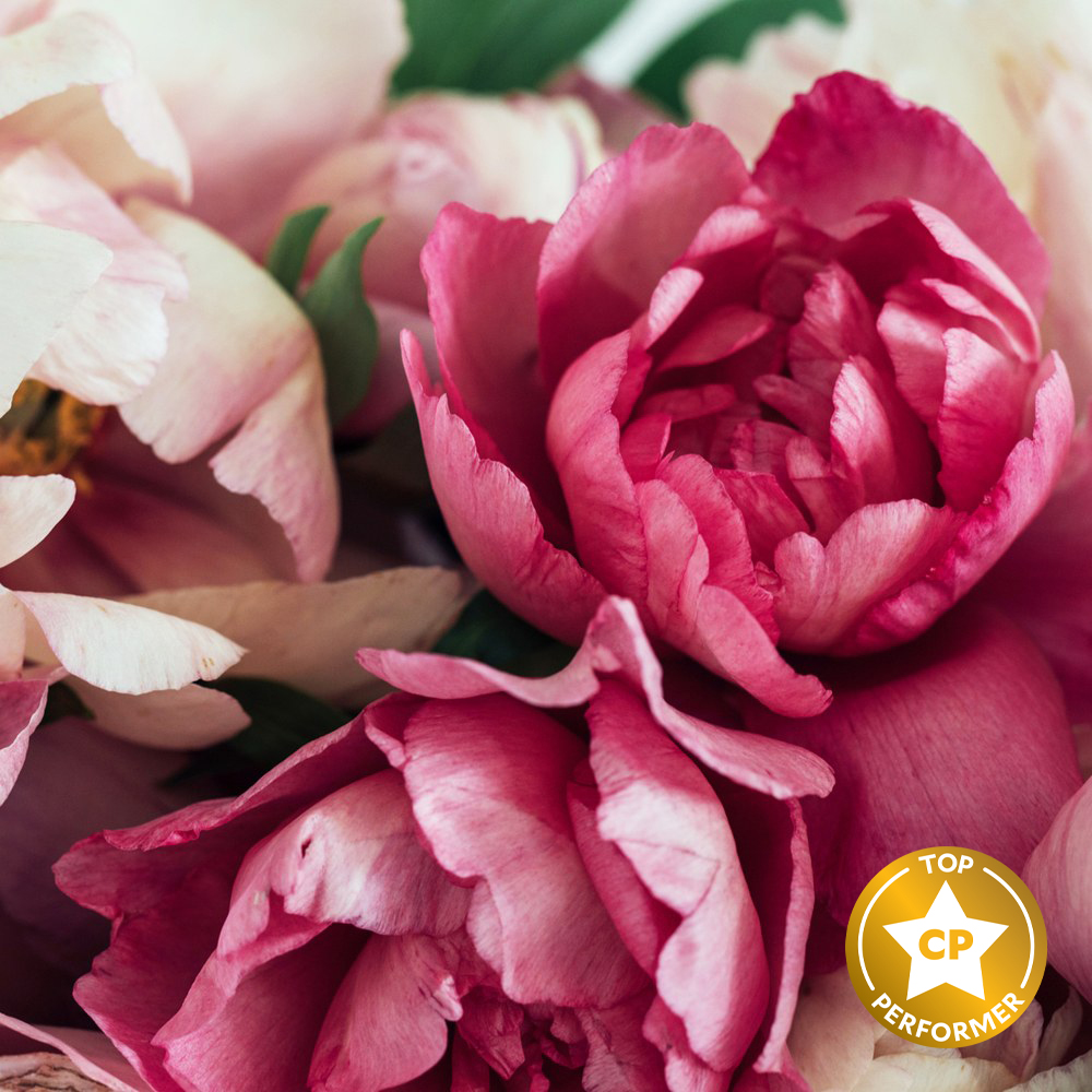 Peony and Amberwood Fragrance Oil