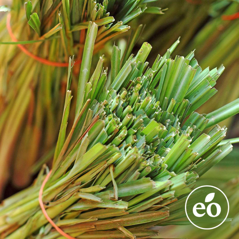 Lemongrass Essential Oil