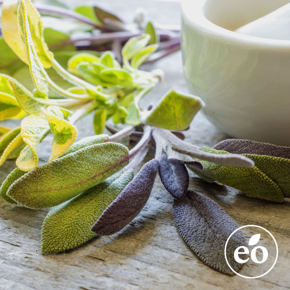 Sage - Dalmatian Essential Oil