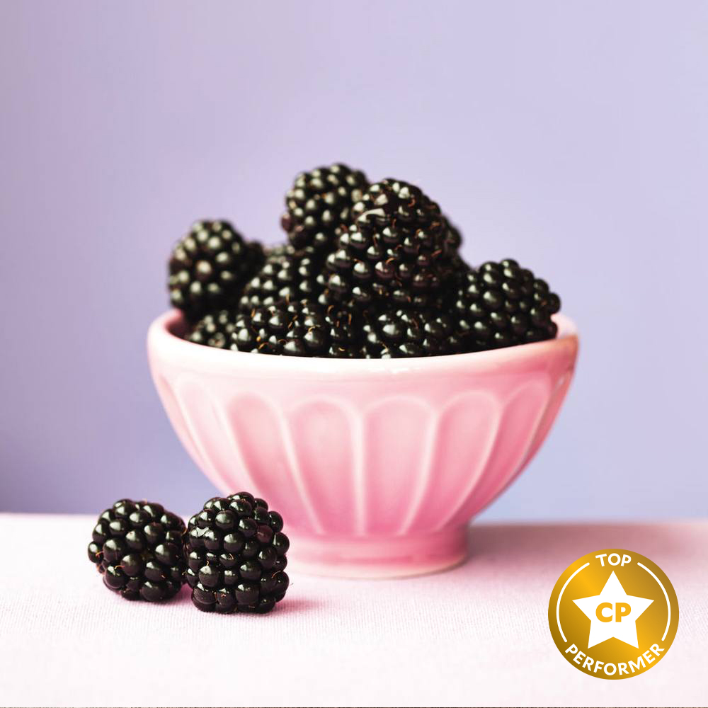 Bramble Berry Fragrance Oil