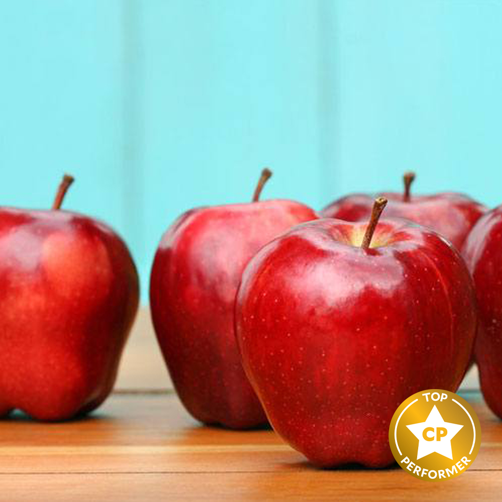 Red Apple Fragrance Oil