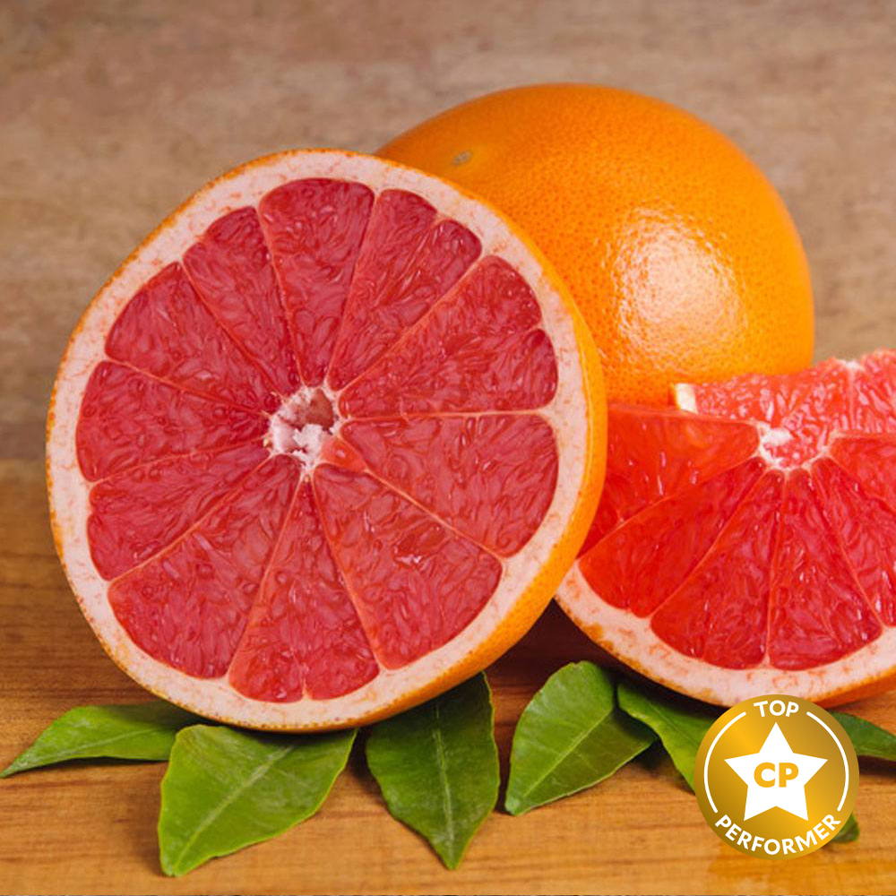 Pink Grapefruit Fragrance Oil