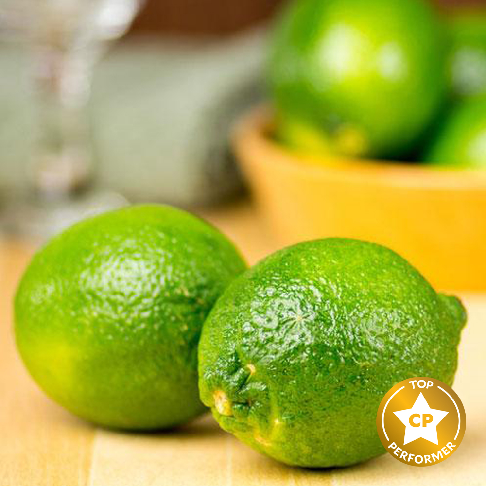 Lime Fragrance Oil